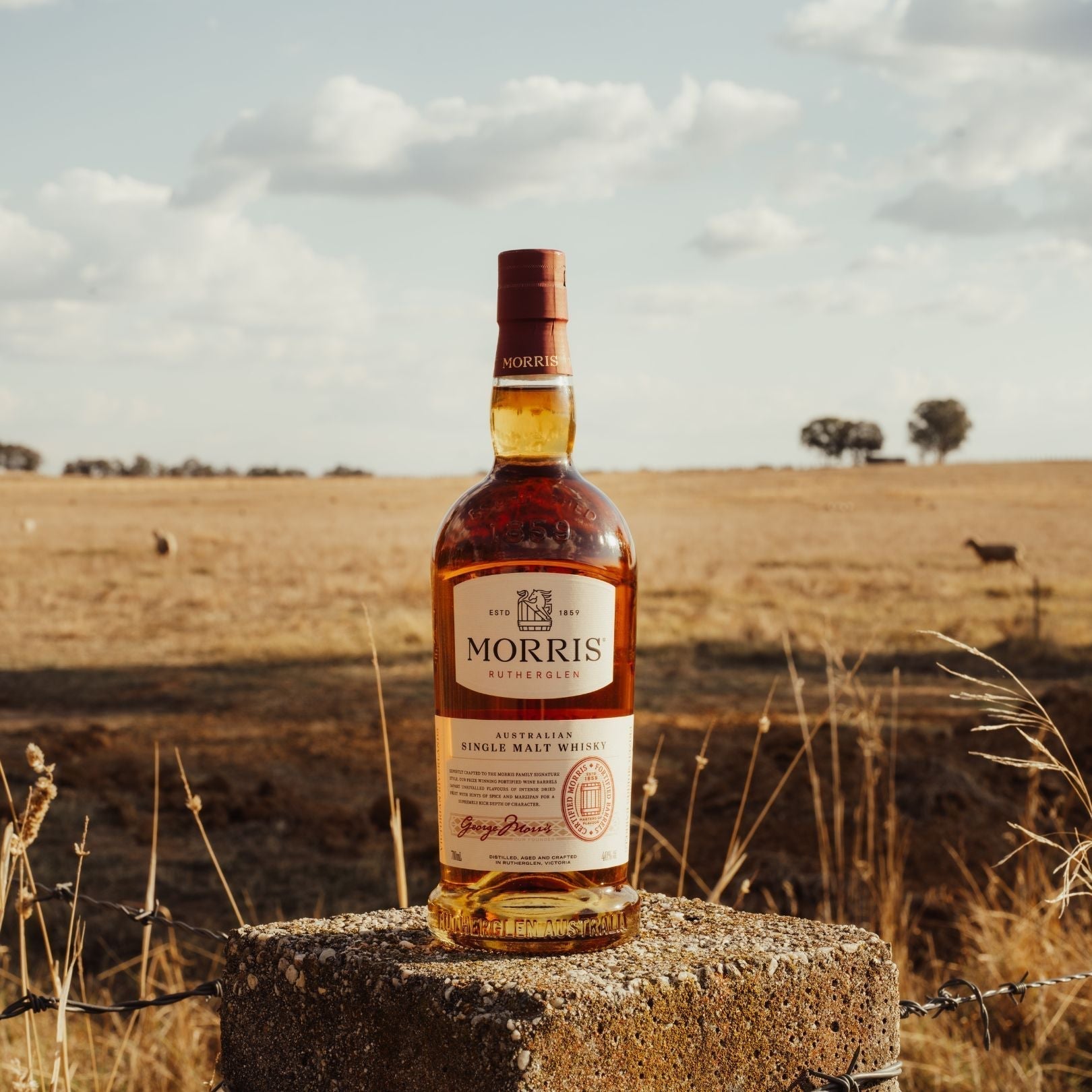 MORRIS Named Among Australia's Best Whiskies Under $100